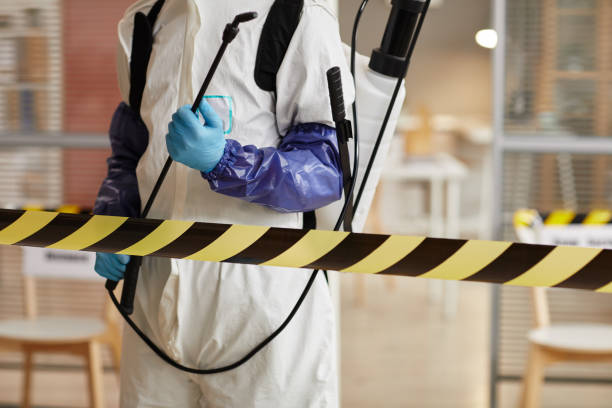 Professional Hoarding Cleanup technician working in Sargent, TX